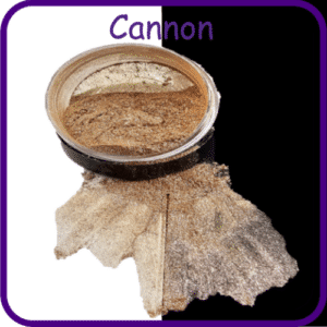 Cannon 3g