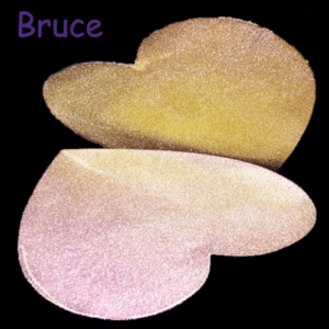 Bruce 4g