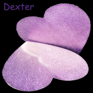 Dexter 4g
