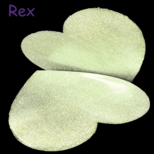Rex 4g