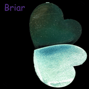 Briar 3g (Enchanted Bundle)