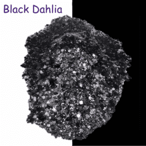 Black Dahlia 1.5oz