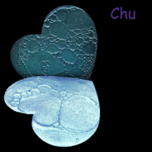 Chu 3g