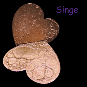Singe 3g