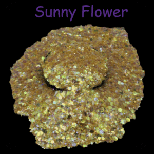 Sunny Flower 1.5oz