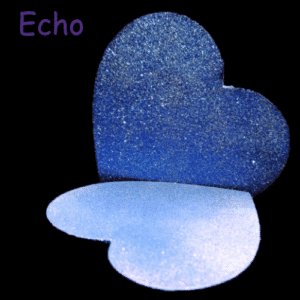 Echo 3g