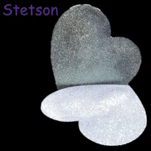 Stetson 3g
