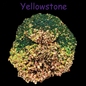 Yellowstone 1.5oz