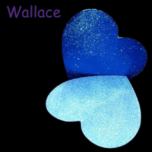 Wallace 3g