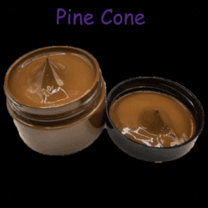 Pine Cone