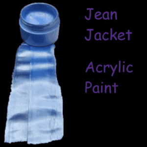 Jean Jacket - Acrylic Paint