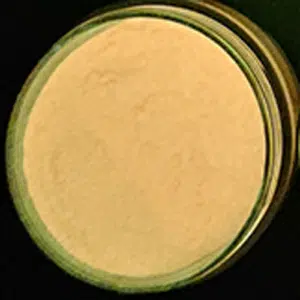 Orange/Tangerine Glow 0.5oz (Neon Glow Bundle)