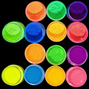 Neon Pigment Bundle