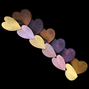 Love Language Chameleon Bundle