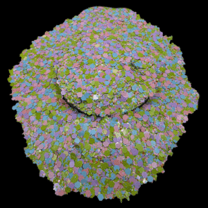 Spring Bouquet 1.5oz