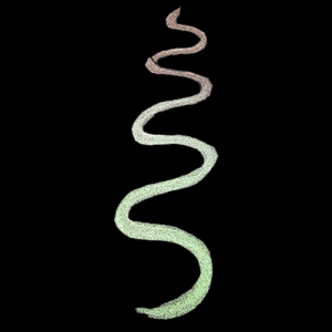 Alcohol Ink - Solen (Ink Vault Collection)