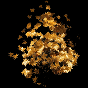 Copper Leaves 0.25oz
