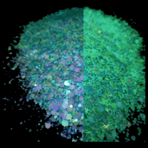 Aqua Radiance 1oz