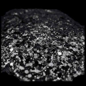 Manic 1.5oz