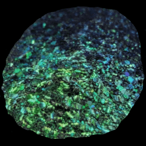 Cypress 1.5oz