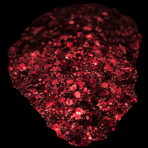 Holly Berry 1.5oz